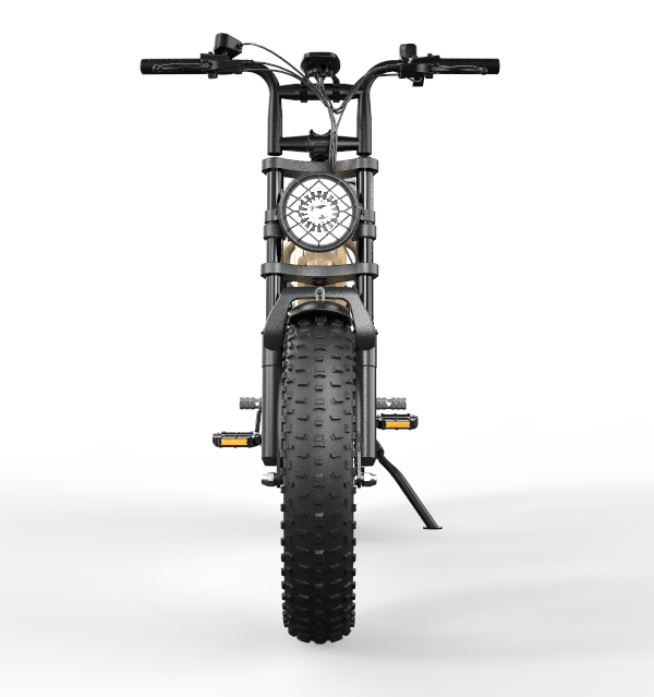 CruiseR7 Fat Bike Eléctrica 20"
