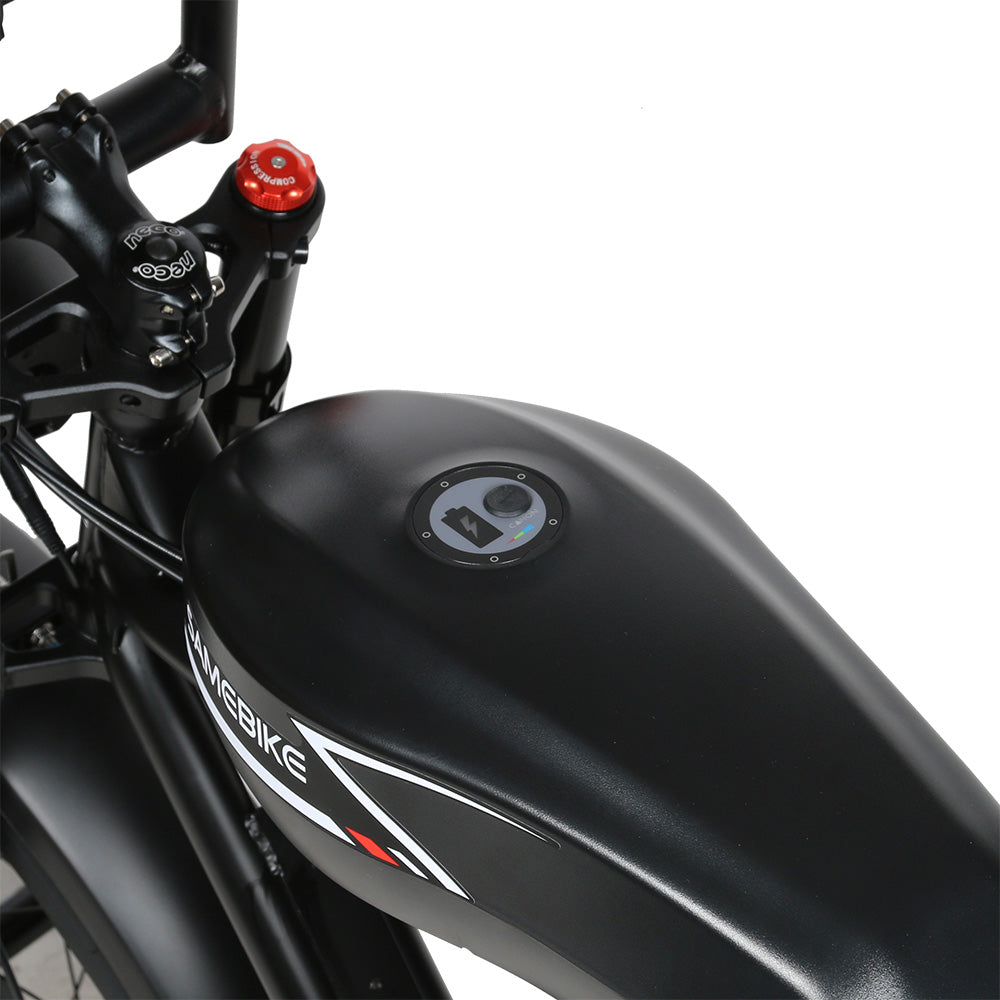 Davidson M20 | Fat bike eléctrica café racer 250W