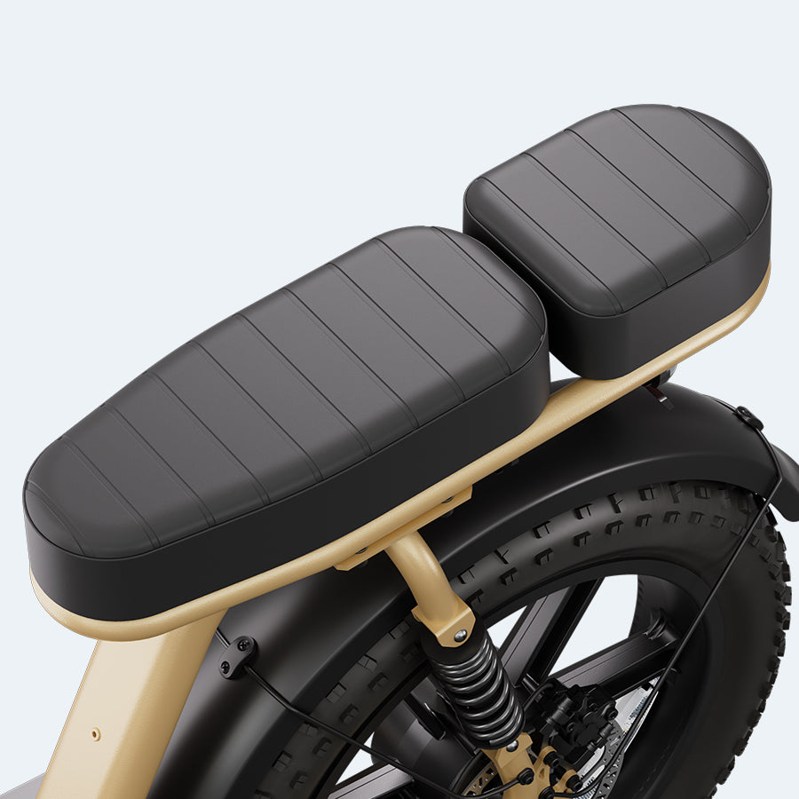 CruiseR7 Fat Bike Eléctrica 20"