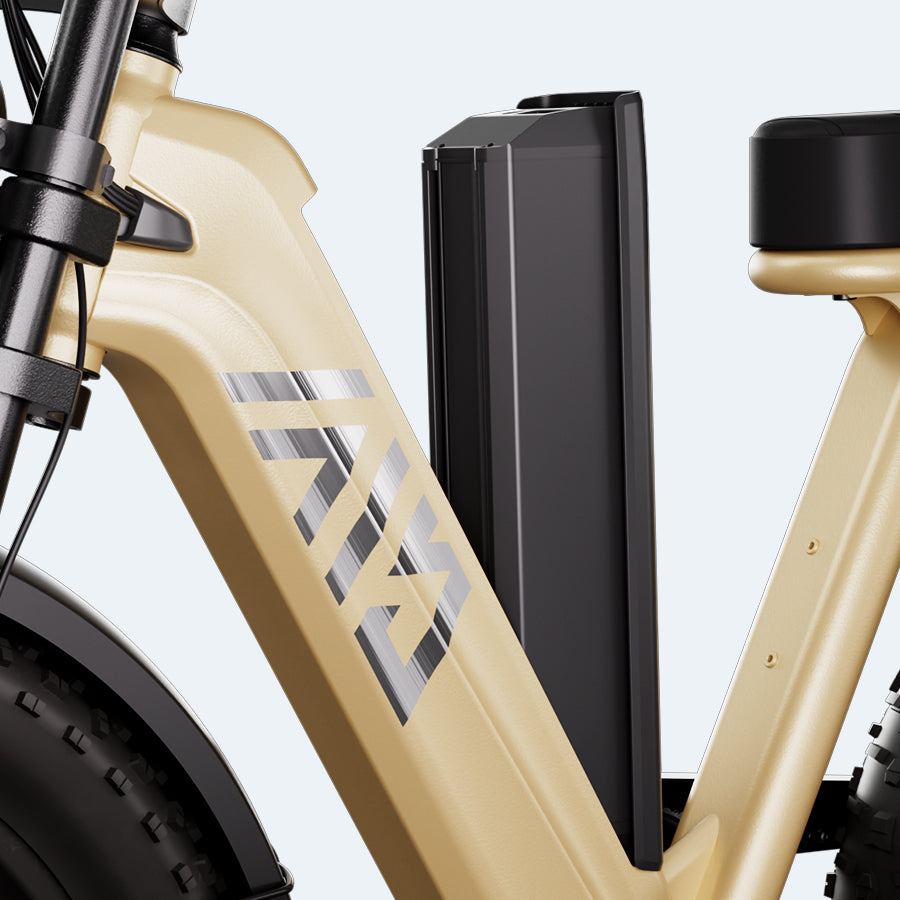 CruiseR7 Fat Bike Eléctrica 20"