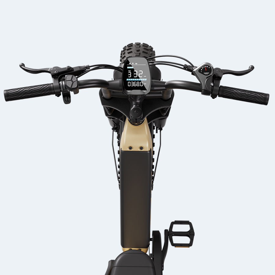 CruiseR7 Fat Bike Eléctrica 20"