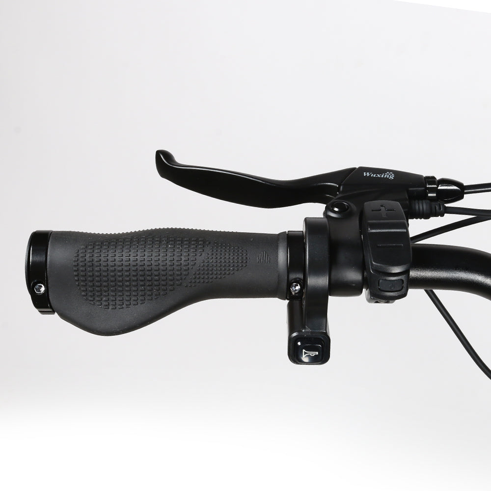 Ground RS-A01 Plus | Fat bike eléctrica urbana 250W