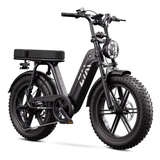 CruiseR7 Fat Bike Eléctrica 20"